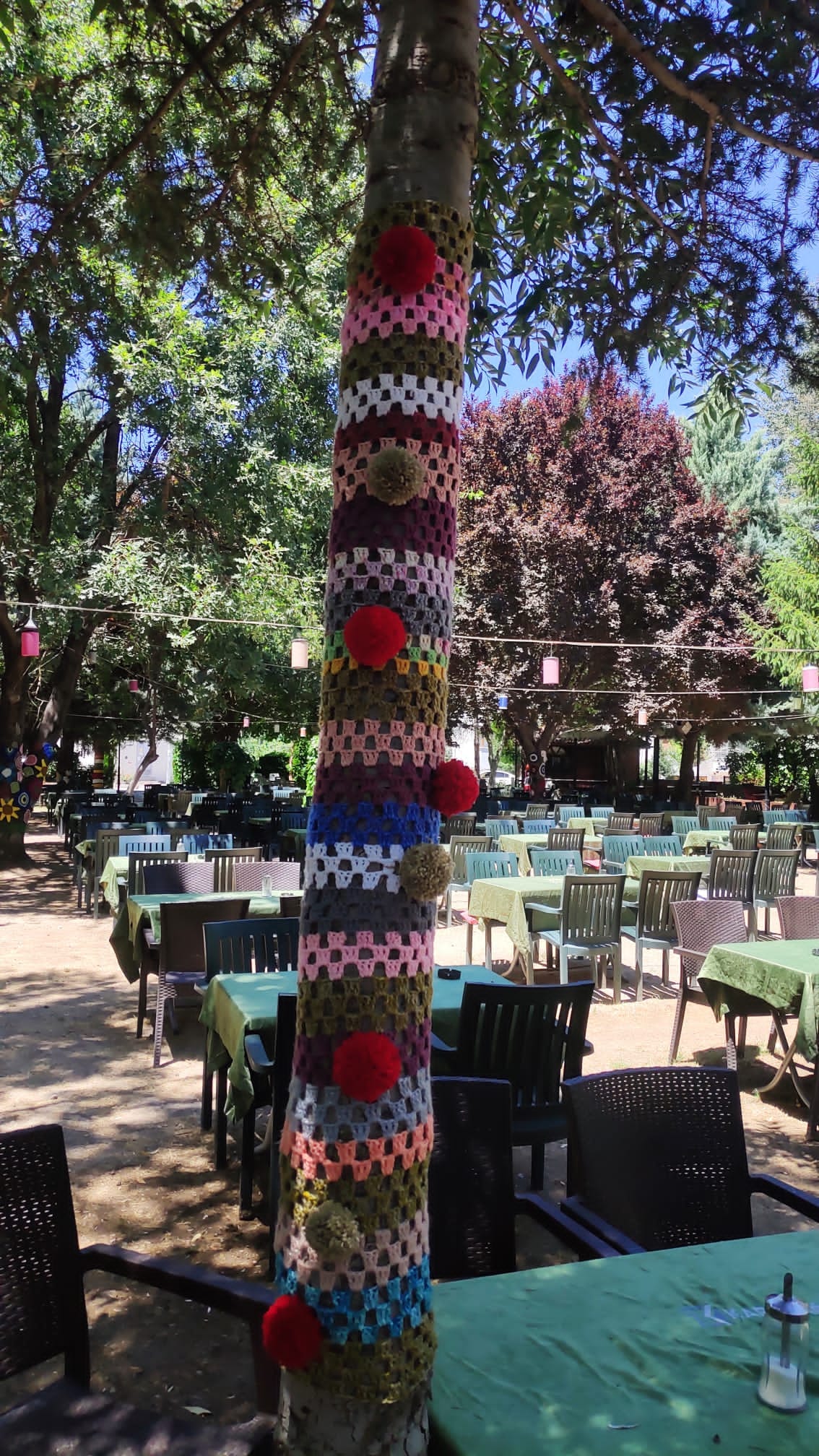 449592099-3922704661349741-7774694462222492315-n.jpg