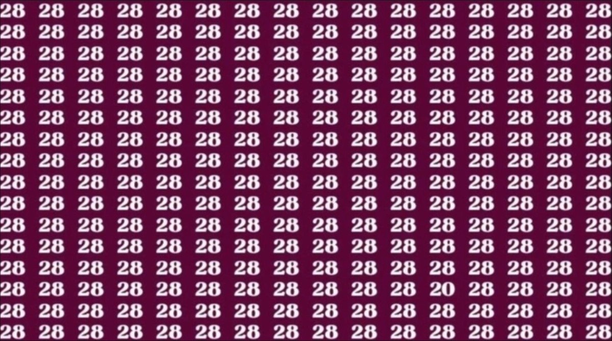 669b7cb84220d576-w1200xh670.jpg