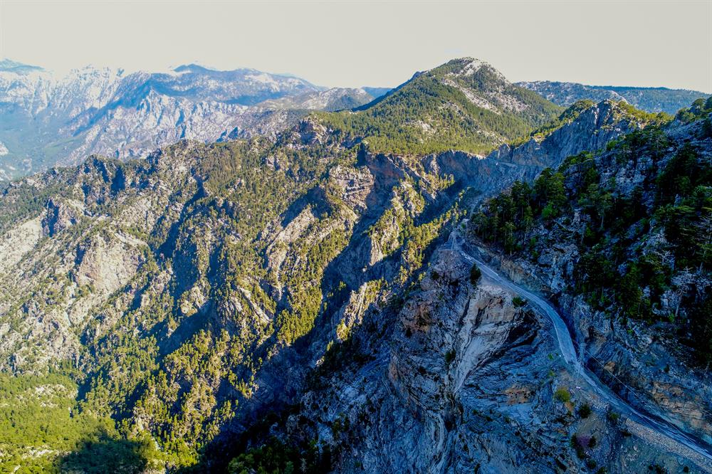 kus-yuvasi-konya-alanya.jpg