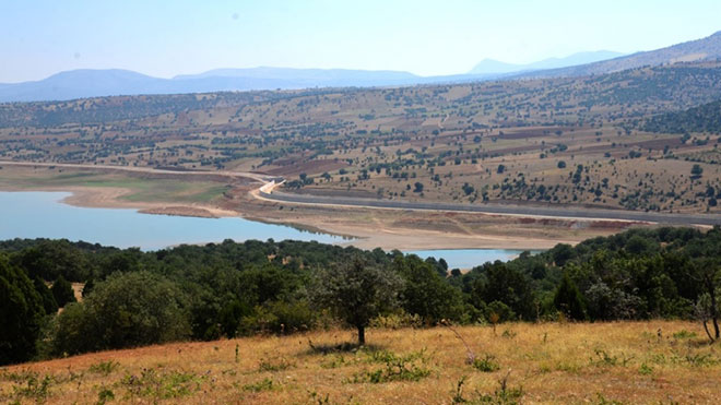 hotamis-goleti.jpg