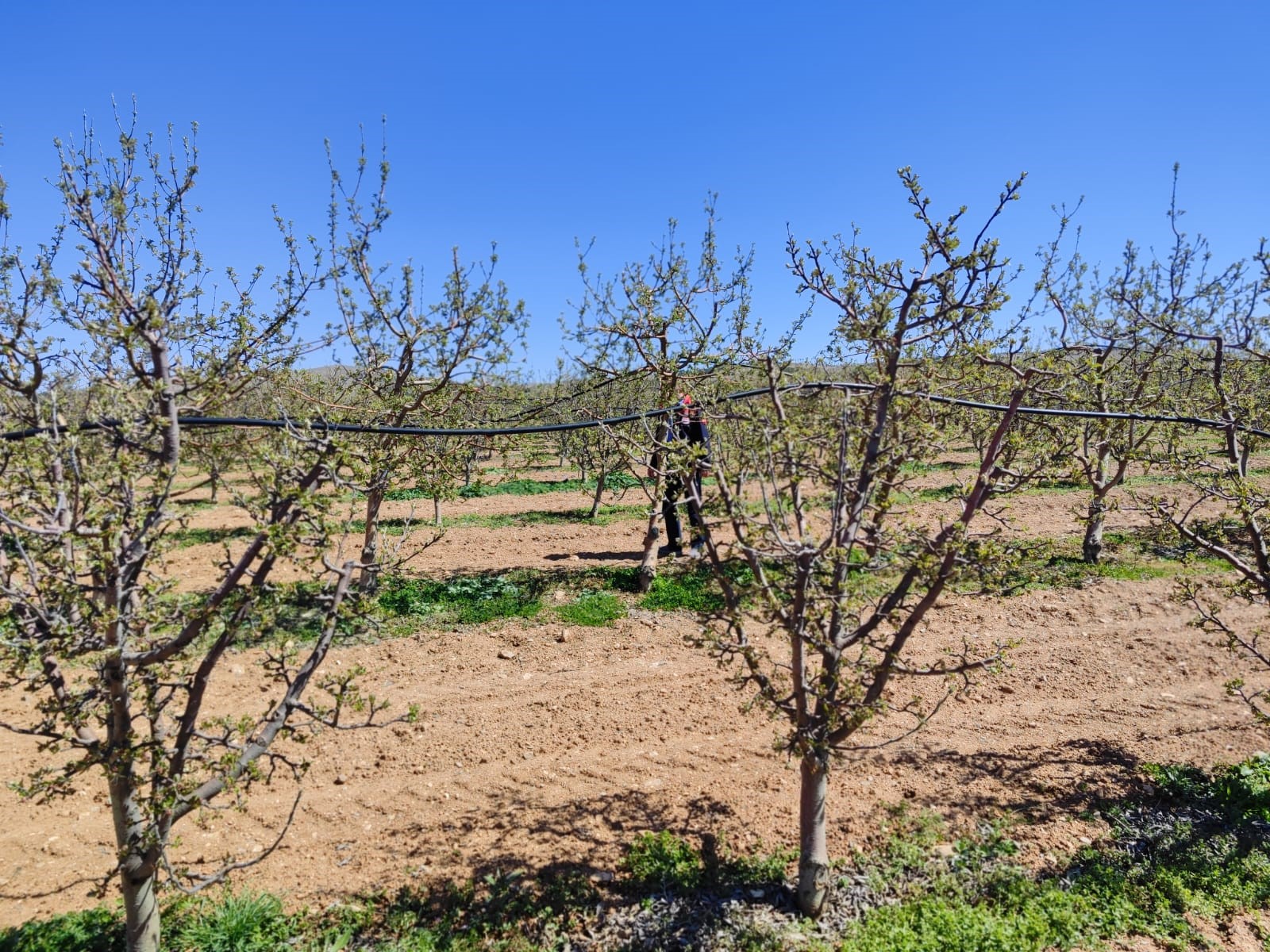 aw434633-01.jpg