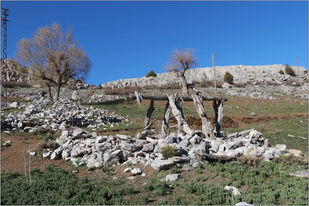 dedemli-evleri-konya-yayla-4.jpeg