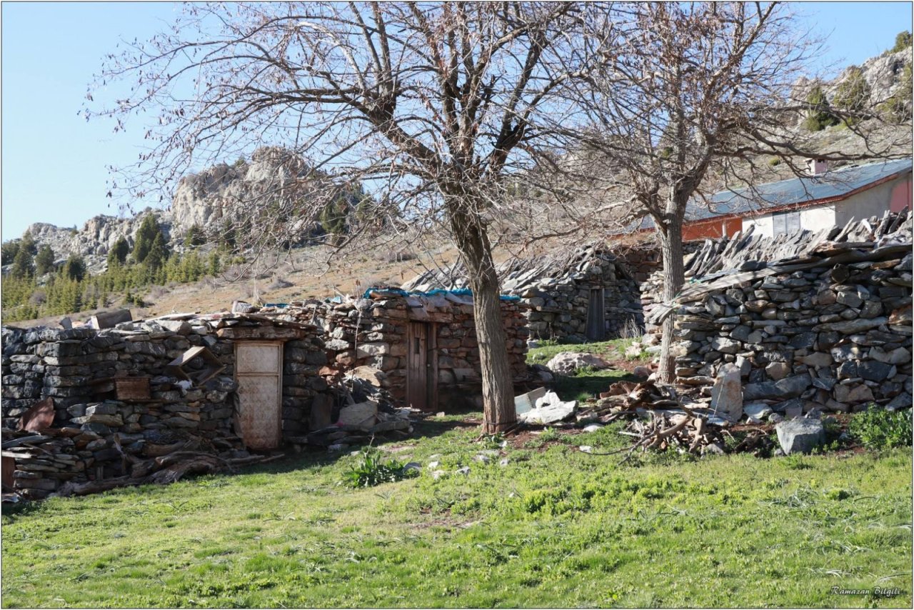 dedemli-evleri-konya-yayla-5.jpeg