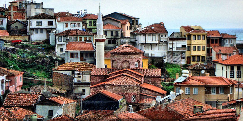 zeytin-bagi-fatih.jpg
