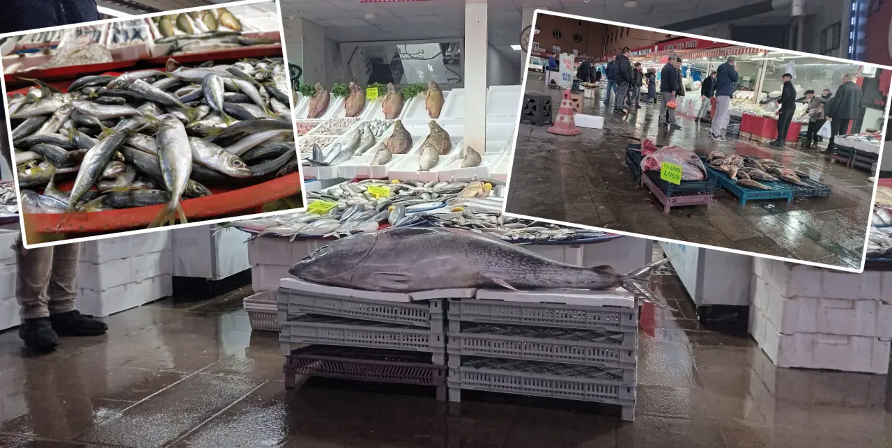 Konyalılar balıkta yeni lezzet peşinde: Orkinos, zargana ve kalkan… 1