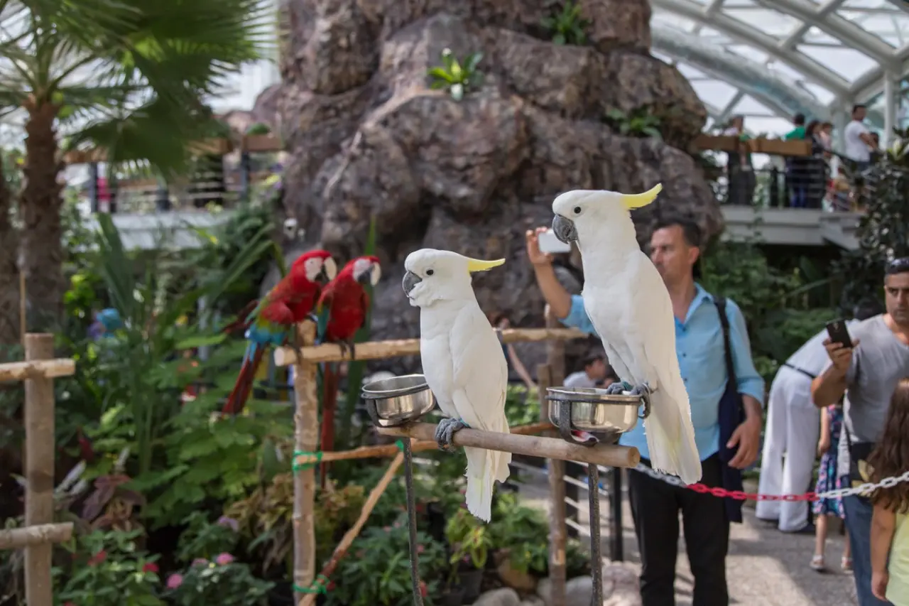 Konya’nın en kıymetli vadisine zam geldi: Kelebek Bahçesi sezona hazır 6