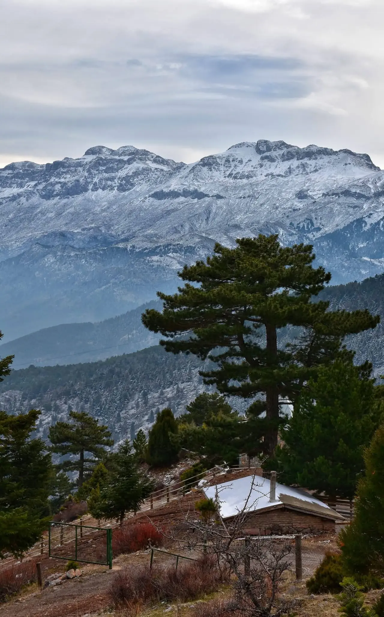 Konya'nın en yüksek konumunda saklı kalan güzellik: Reze Beli 4