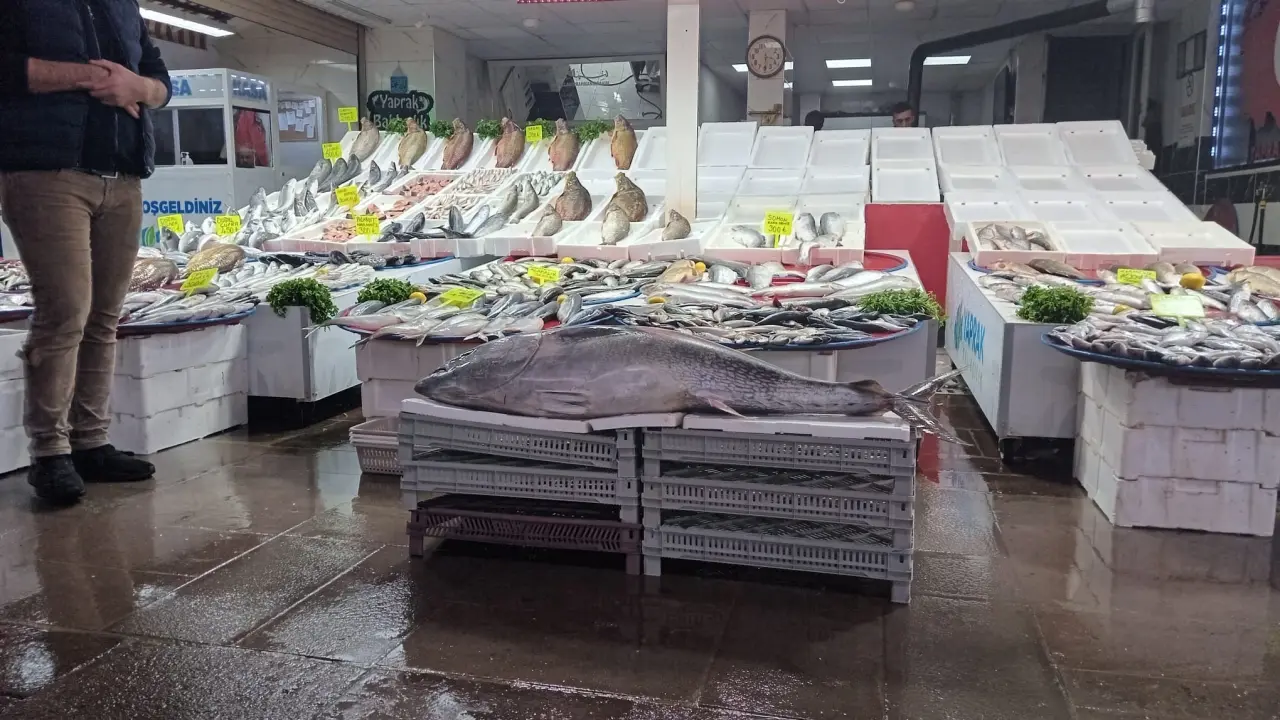 Konyalılar balıkta yeni lezzet peşinde: Orkinos, zargana ve kalkan… 3