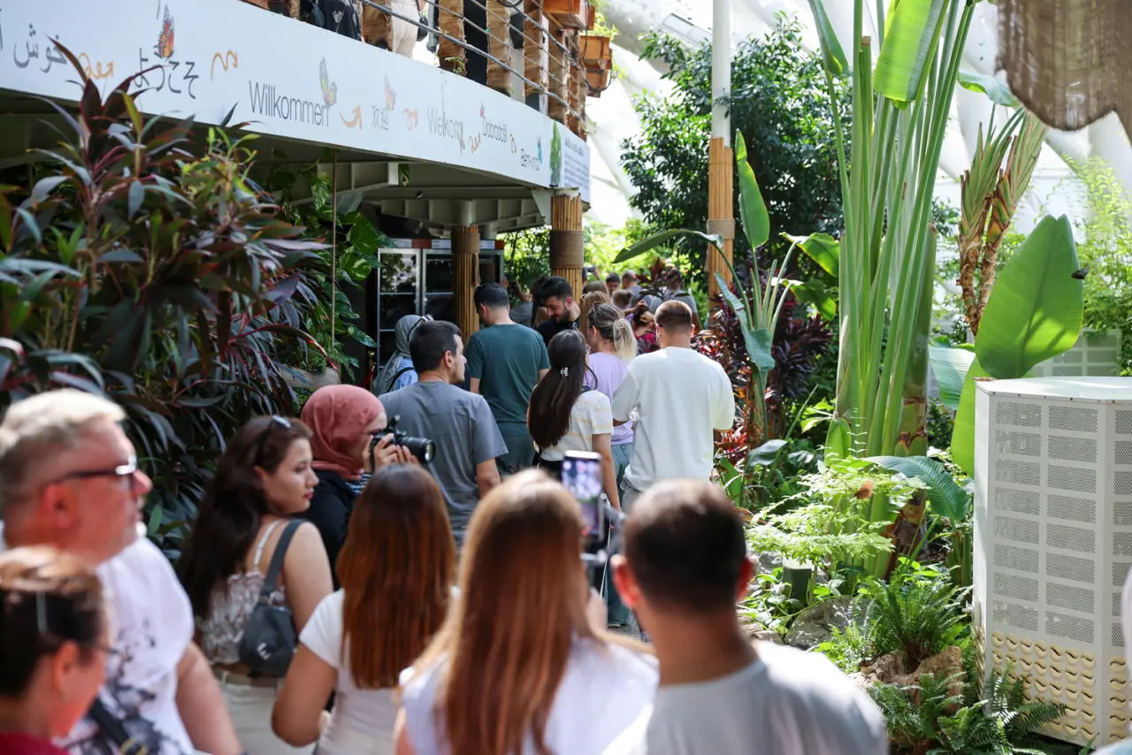 Konya’nın en kıymetli vadisine zam geldi: Kelebek Bahçesi sezona hazır 11