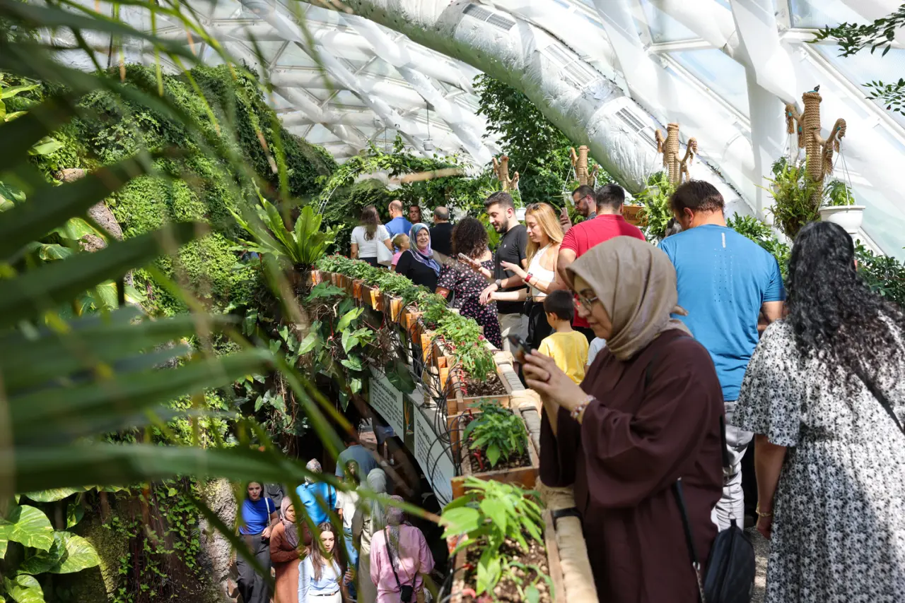 Konya’nın en kıymetli vadisine zam geldi: Kelebek Bahçesi sezona hazır 10