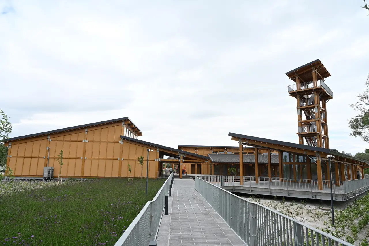 Konya’da keşfedilen sıra dışı fosil: Görenler dinozor sanıyor 10