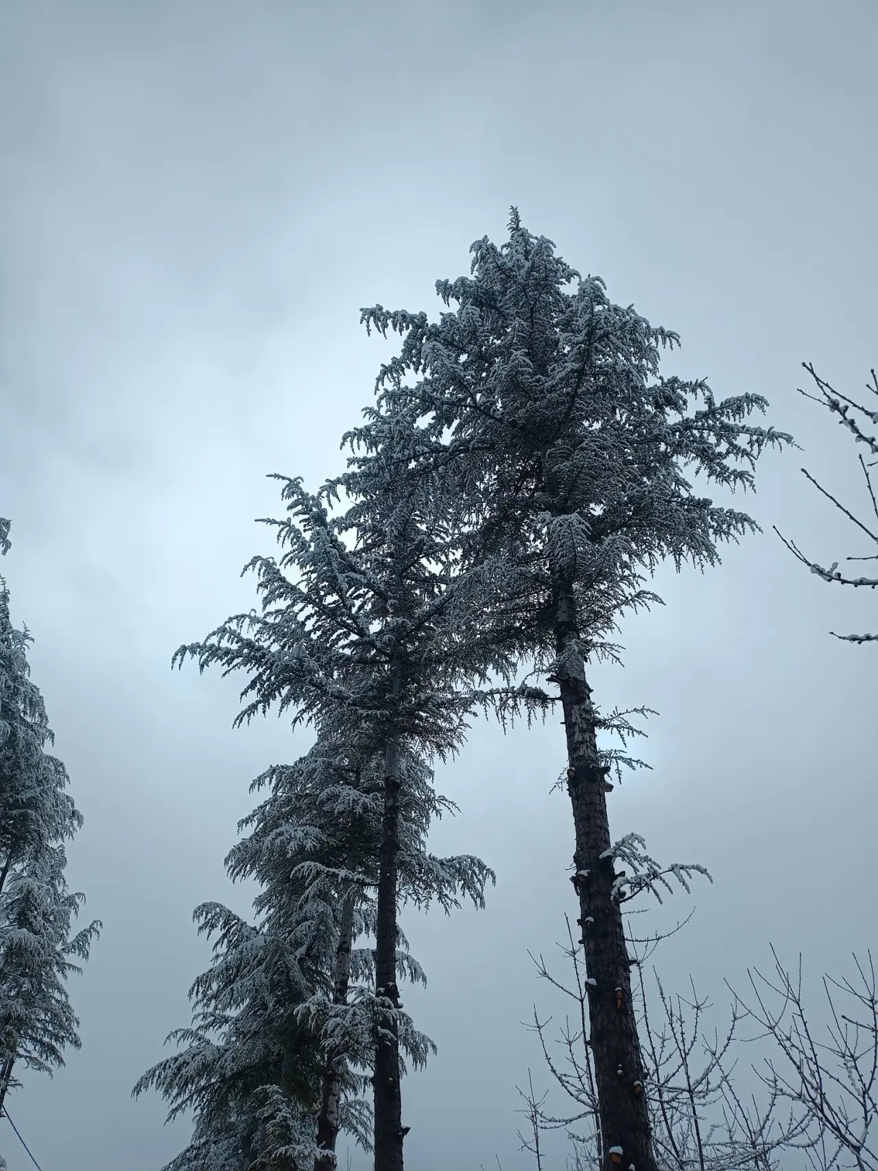 Konya’nın ilginç mahallesi: Torosların sırrını barındırıyor 14