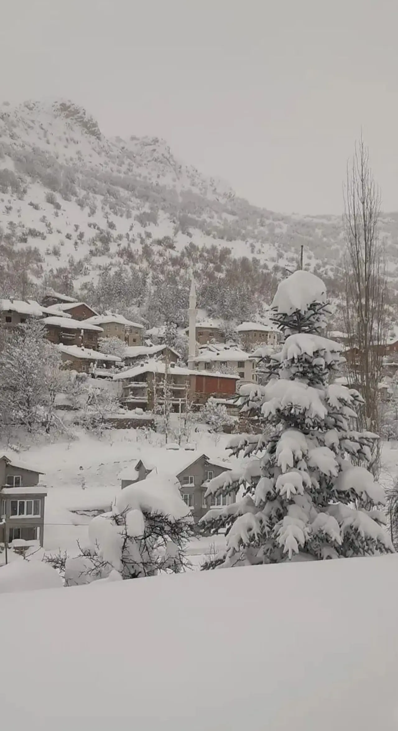 Konya’nın ilginç mahallesi: Torosların sırrını barındırıyor 3