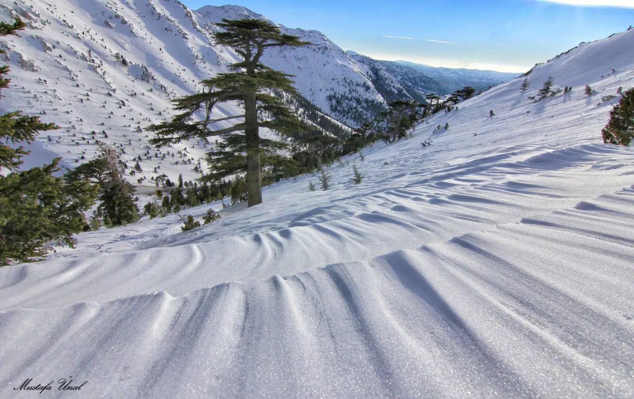 Konya’nın zirvesi beyaz tacı giydi: Alacabel’de kış güzelliği 9