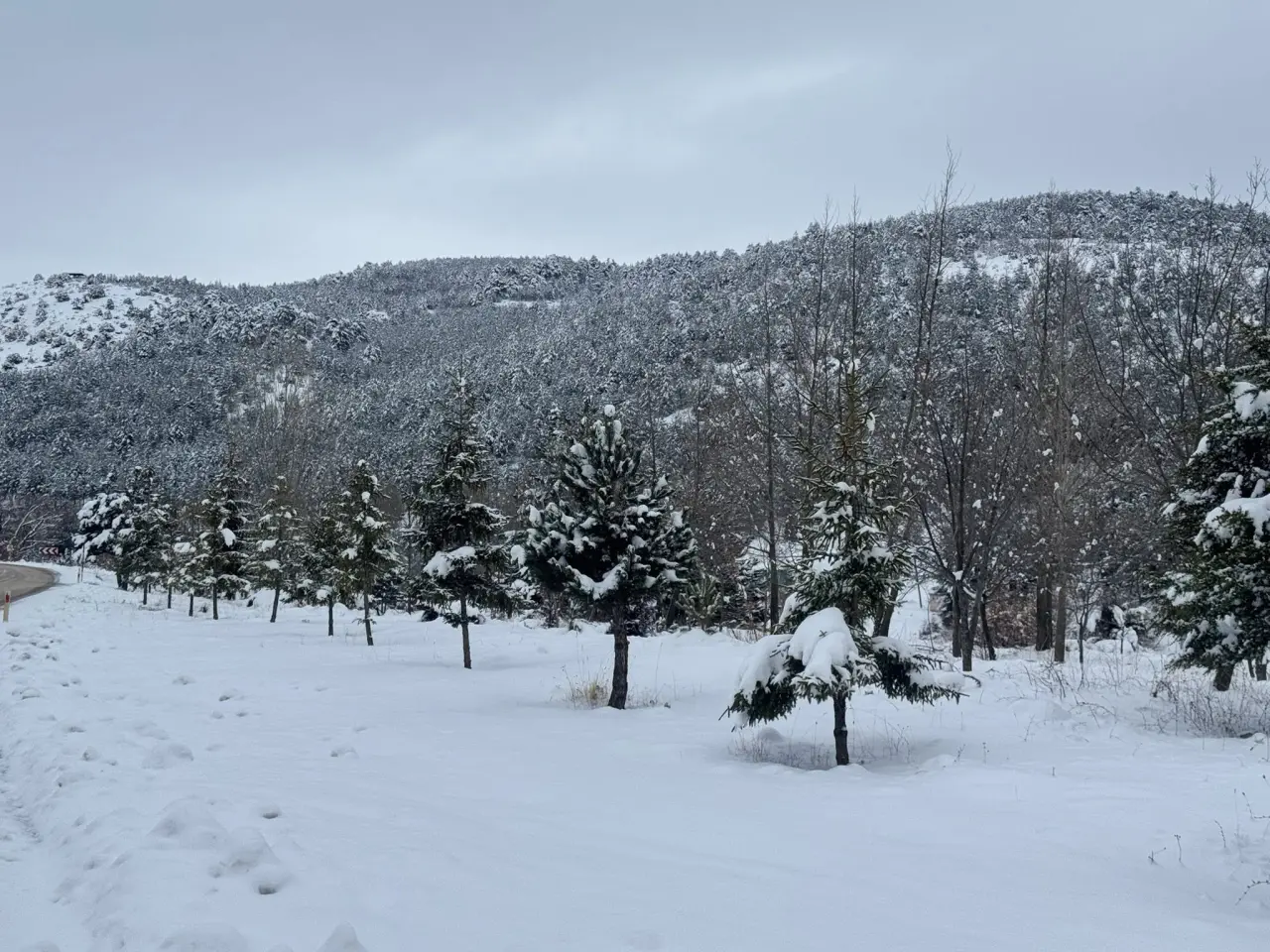 Burası Konya'nın saklı cenneti: Aladağ resital sunuyor 12