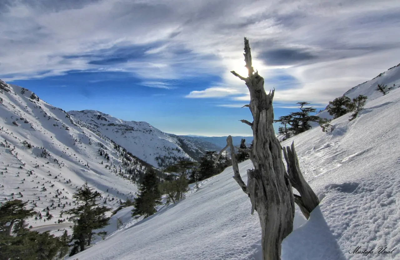 Konya’nın zirvesi beyaz tacı giydi: Alacabel’de kış güzelliği 5