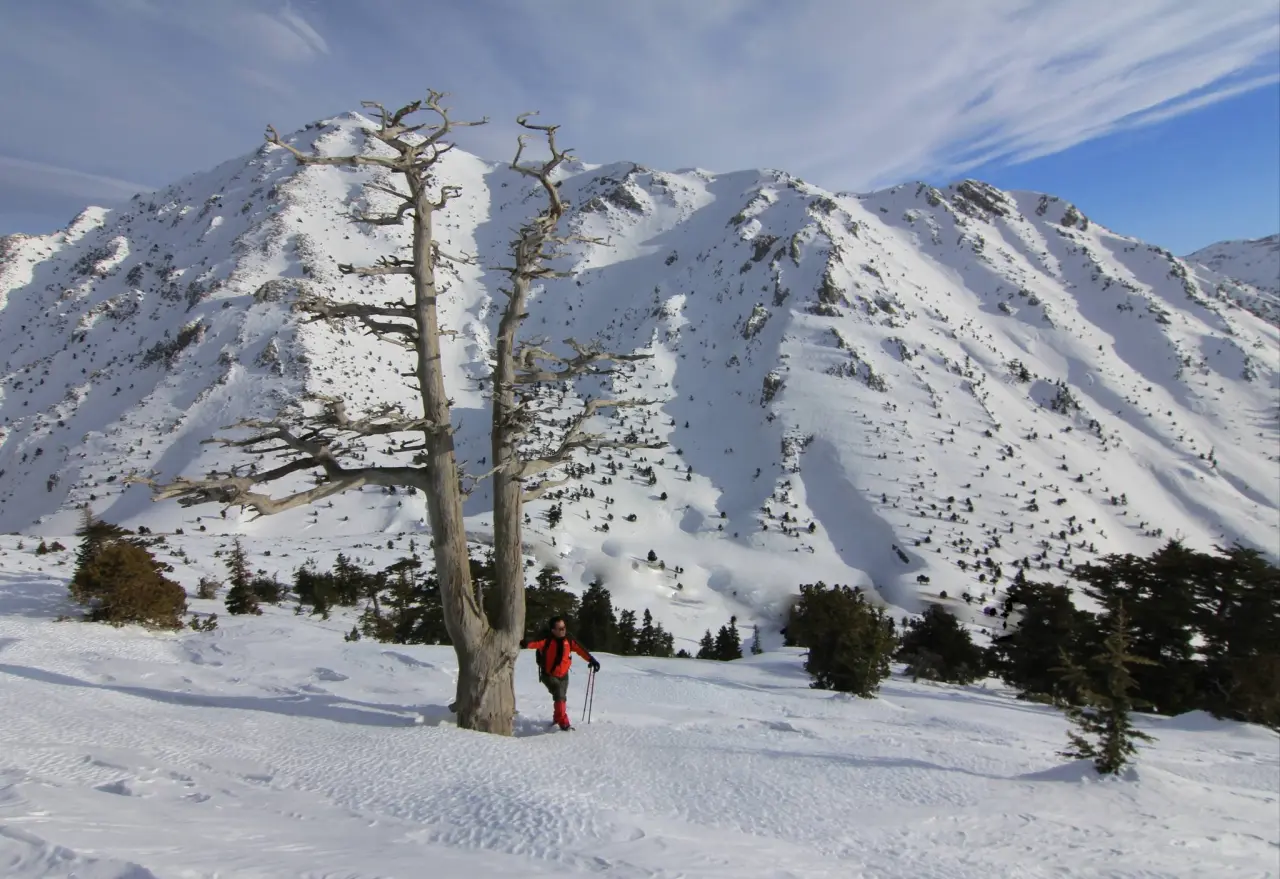 Konya’nın zirvesi beyaz tacı giydi: Alacabel’de kış güzelliği 6