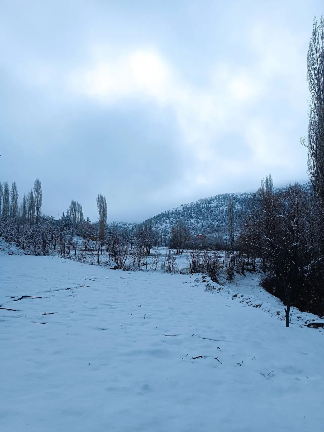 Konya’nın ilginç mahallesi: Torosların sırrını barındırıyor 10