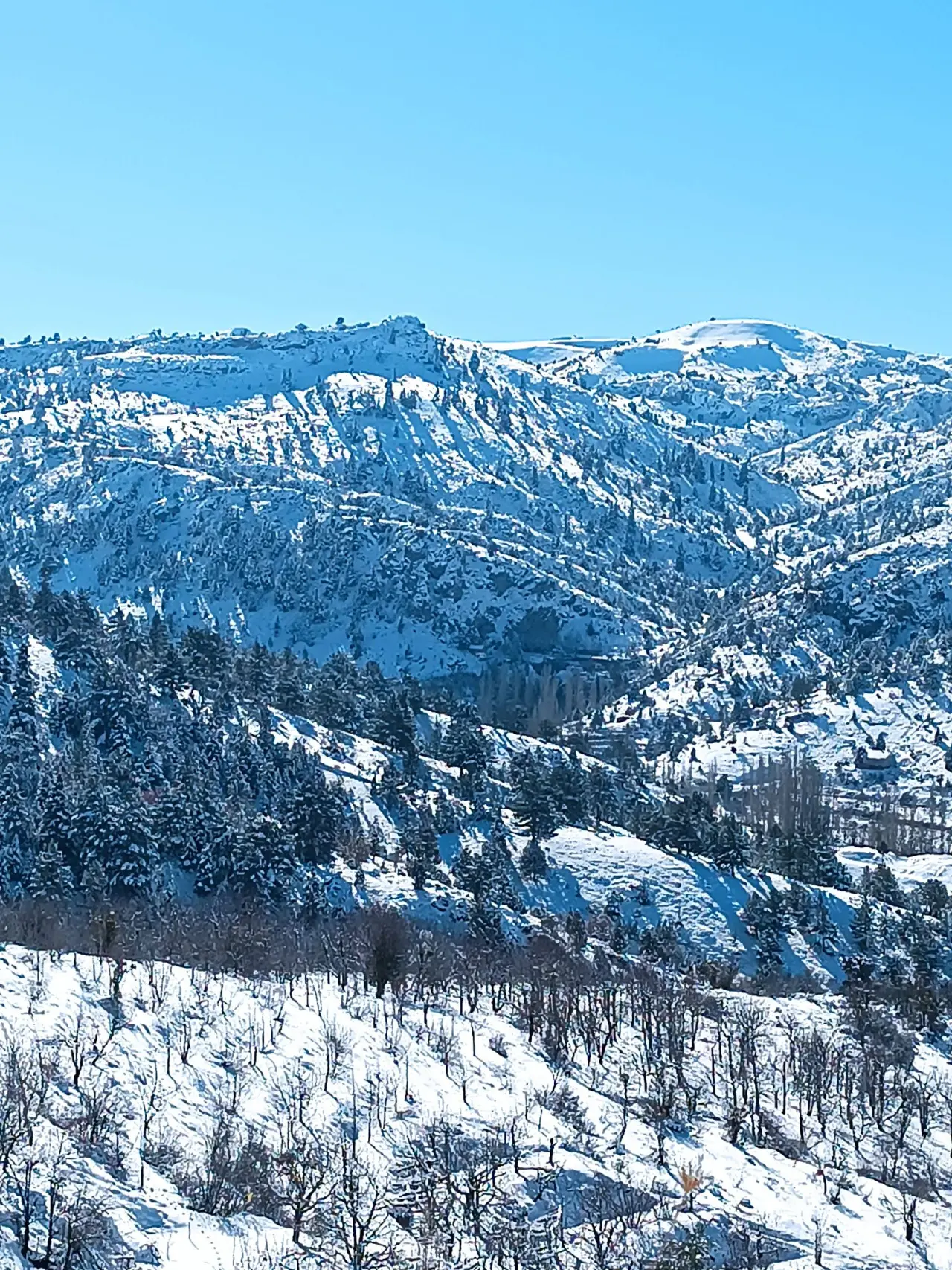Konya’nın ilginç mahallesi: Torosların sırrını barındırıyor 6