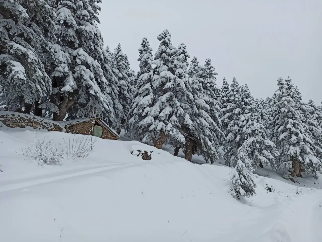 Konya’nın Doğa Cenneti: Gölcük Yaylası kışın da büyülüyor 2