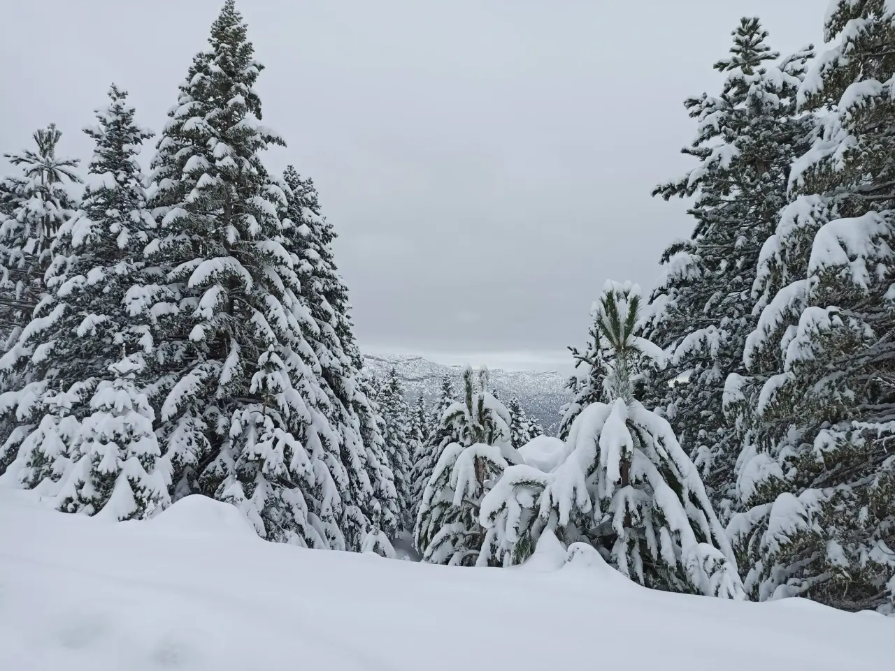 Konya’nın Doğa Cenneti: Gölcük Yaylası kışın da büyülüyor 6