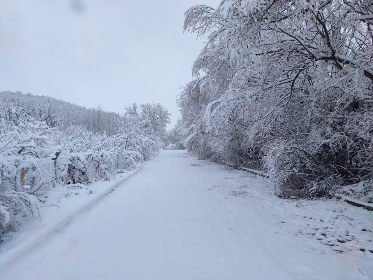 Burası Konya'nın saklı cenneti: Aladağ resital sunuyor 7