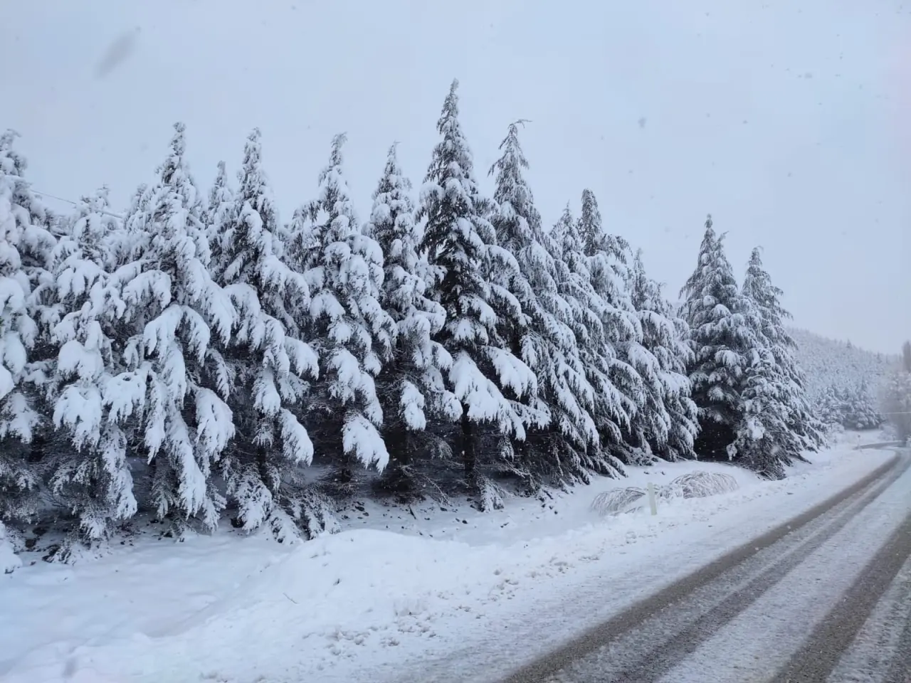 Burası Konya'nın saklı cenneti: Aladağ resital sunuyor 13