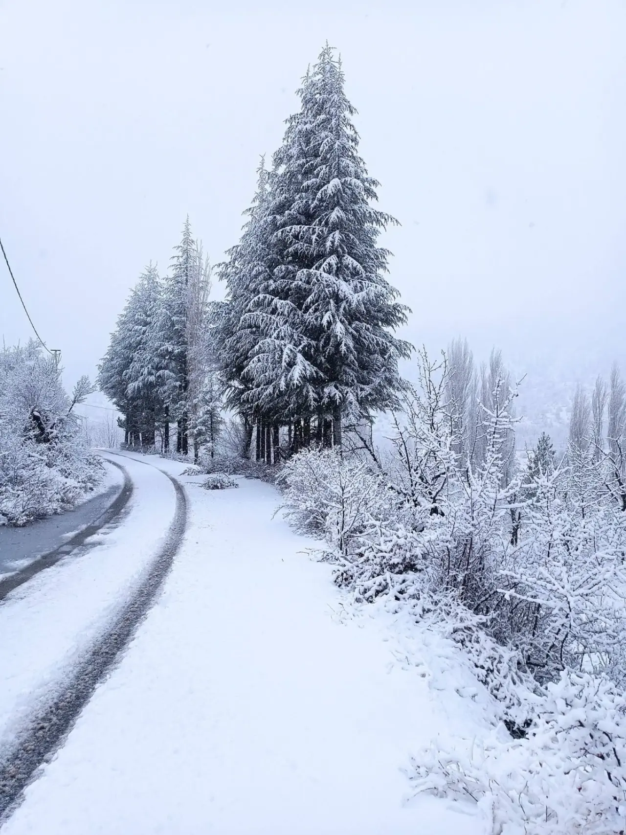 Konya’nın kış masalı: Beyaz gelinlik şehre çok yakıştı 6