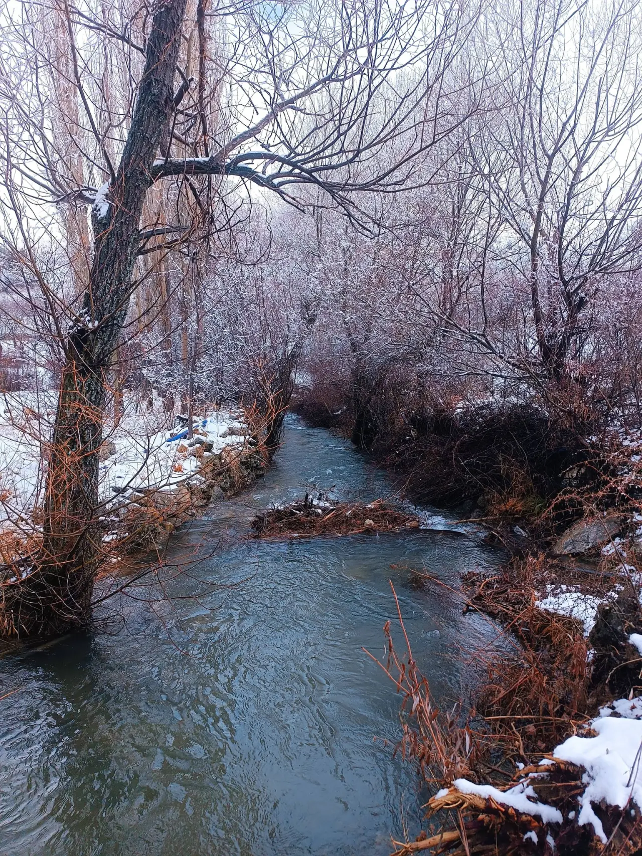 Konya’nın ilginç mahallesi: Torosların sırrını barındırıyor 13