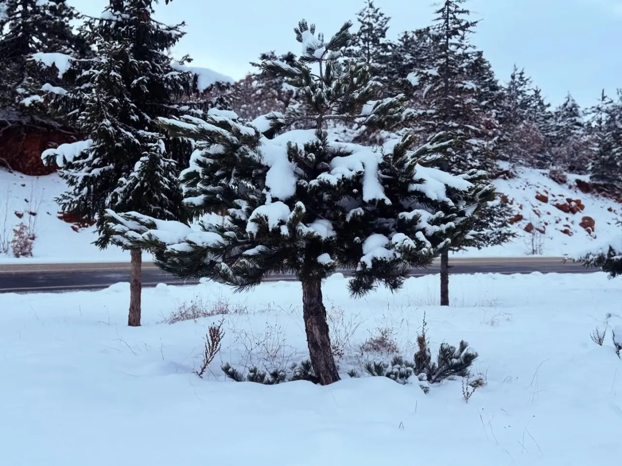 Burası Konya'nın saklı cenneti: Aladağ resital sunuyor 9