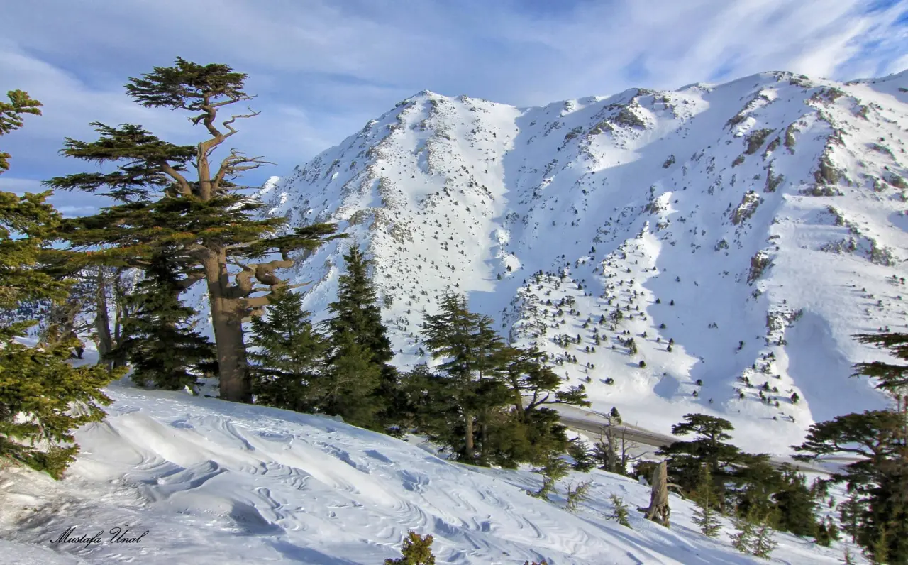 Konya’nın zirvesi beyaz tacı giydi: Alacabel’de kış güzelliği 4