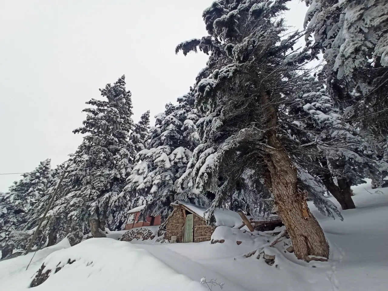Konya’nın Doğa Cenneti: Gölcük Yaylası kışın da büyülüyor 5
