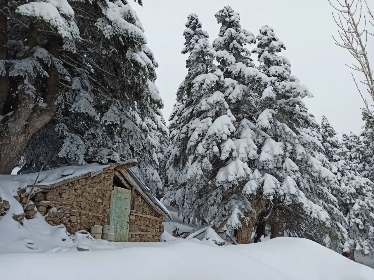 Konya’nın Doğa Cenneti: Gölcük Yaylası kışın da büyülüyor 9