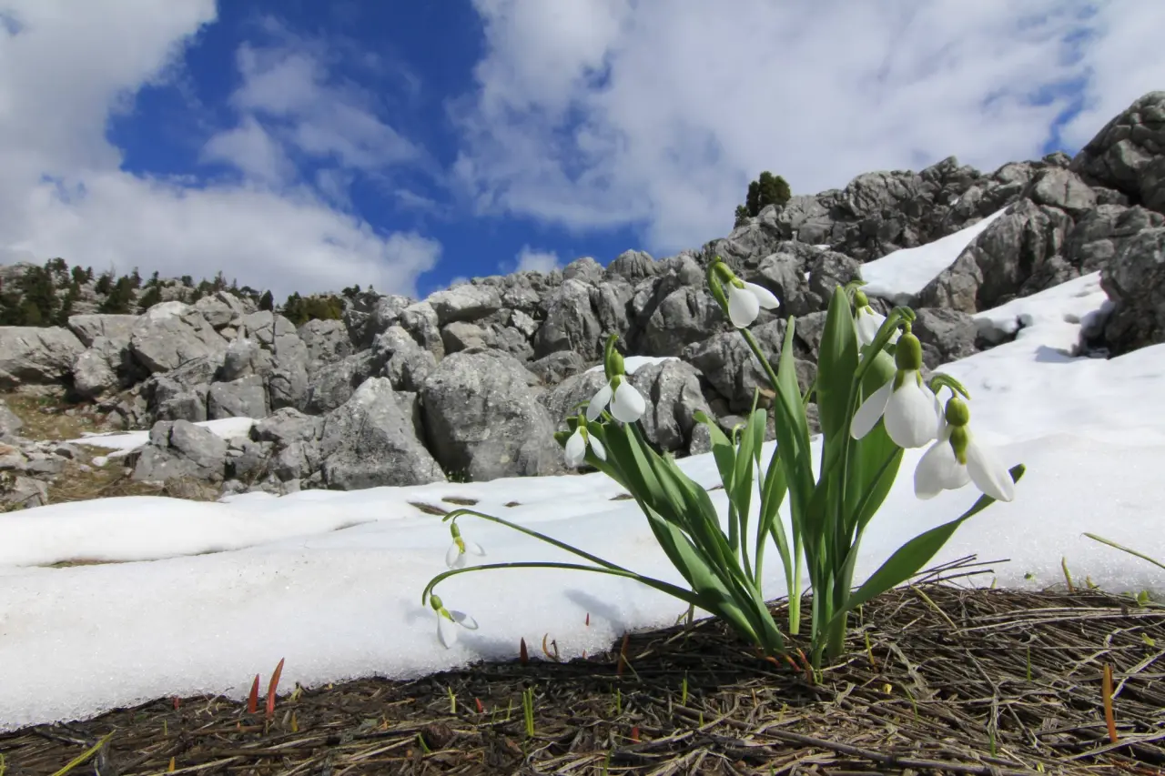 Konya'nın aşk kokan yaylası: Toroslar yeniden doğdu 4