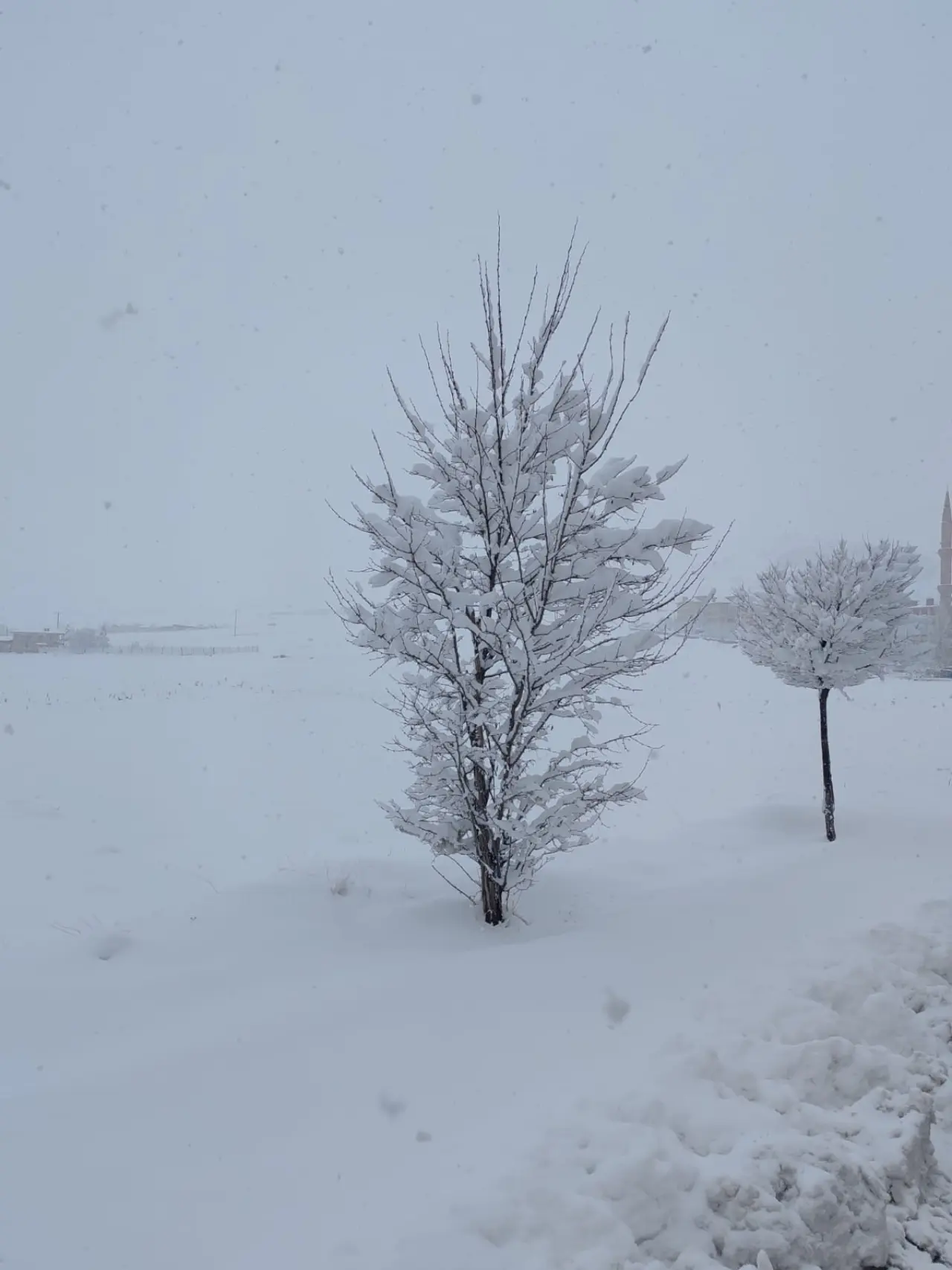 Konya'ya yağan kar yarım metreyi aştı: Sistemin yıldızı oldu 10