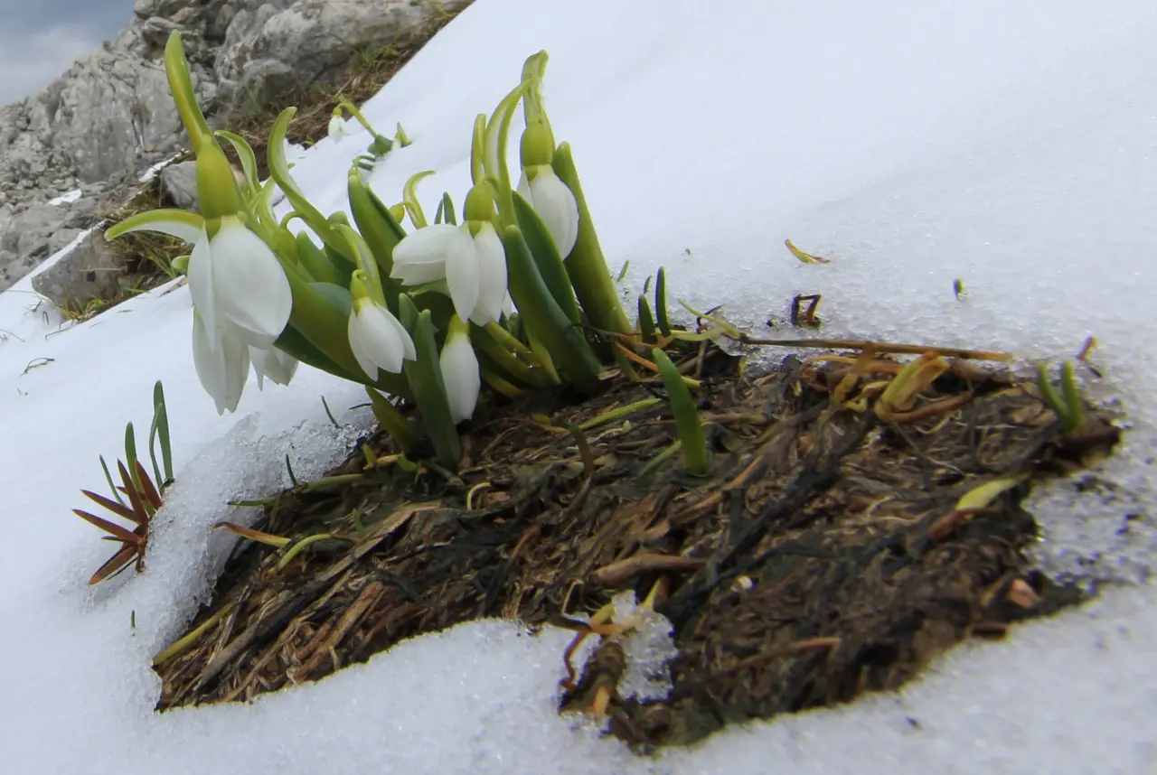 Konya'nın aşk kokan yaylası: Toroslar yeniden doğdu 11
