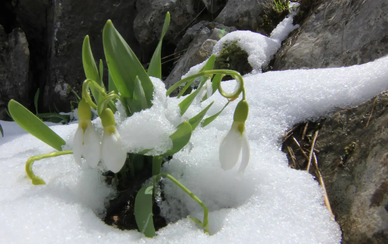 Konya'nın aşk kokan yaylası: Toroslar yeniden doğdu 15