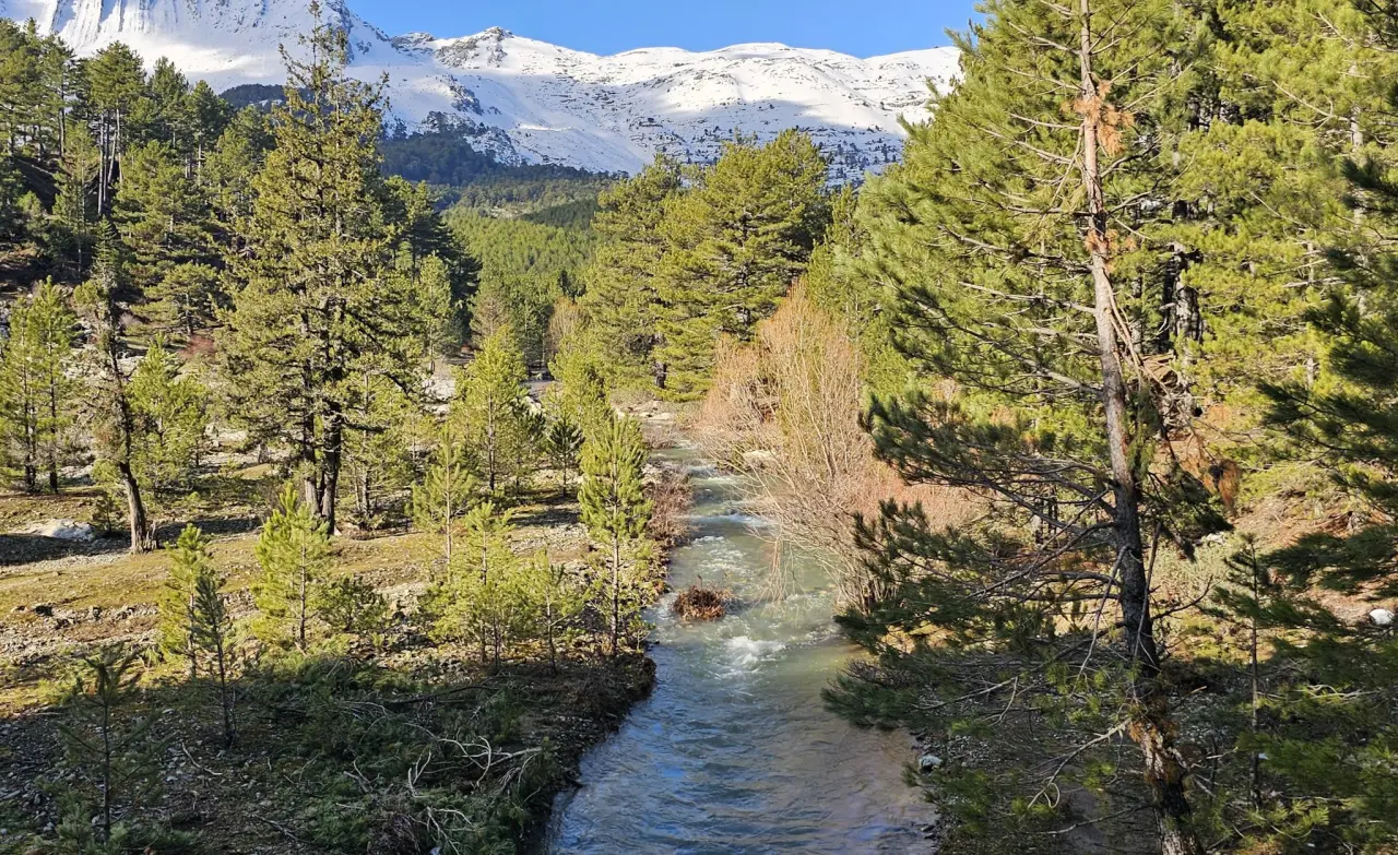 Konya'nın gizemli bölgesi: Cennet vadide sadece 600 kişi yaşıyor 6