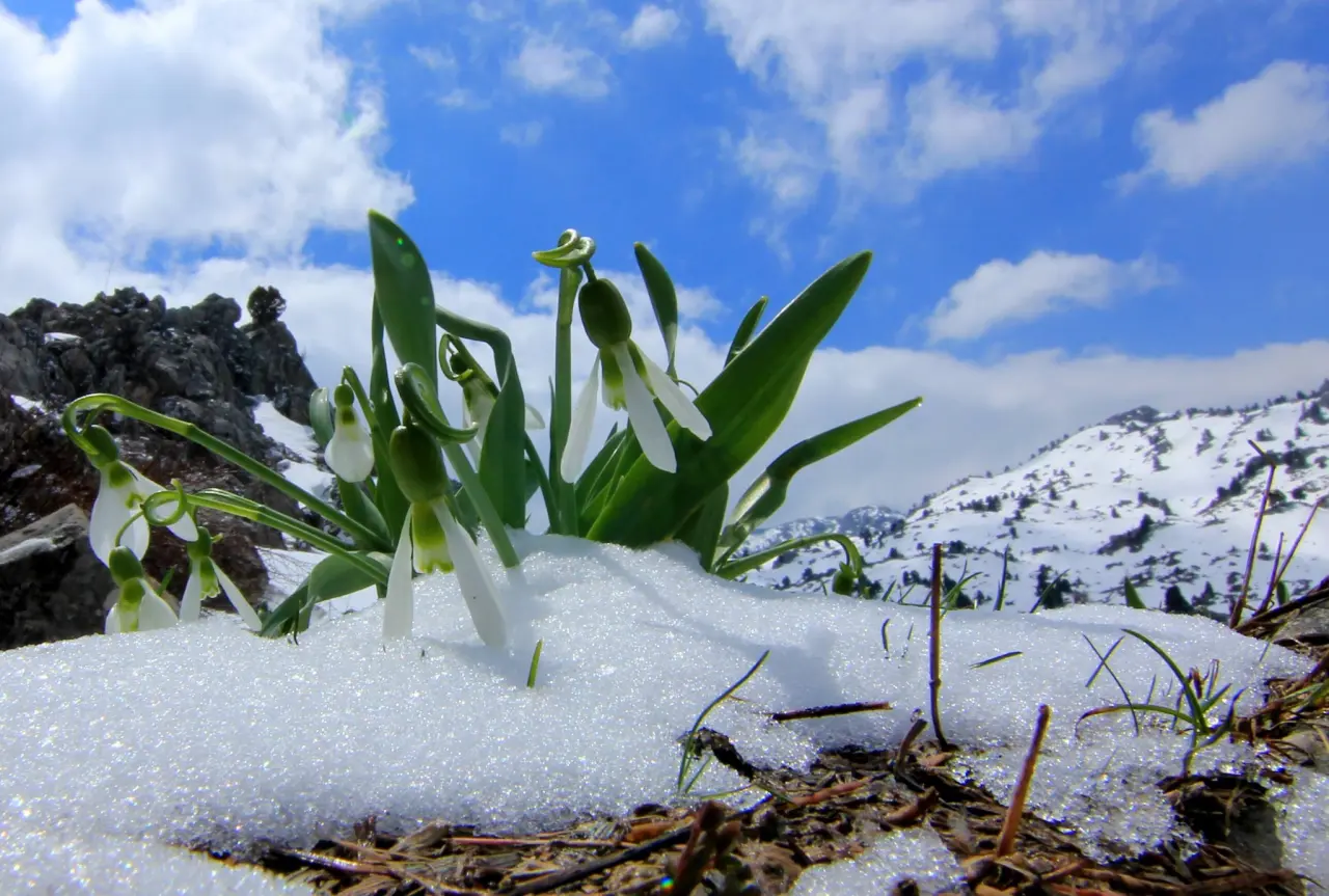 Konya'nın aşk kokan yaylası: Toroslar yeniden doğdu 3