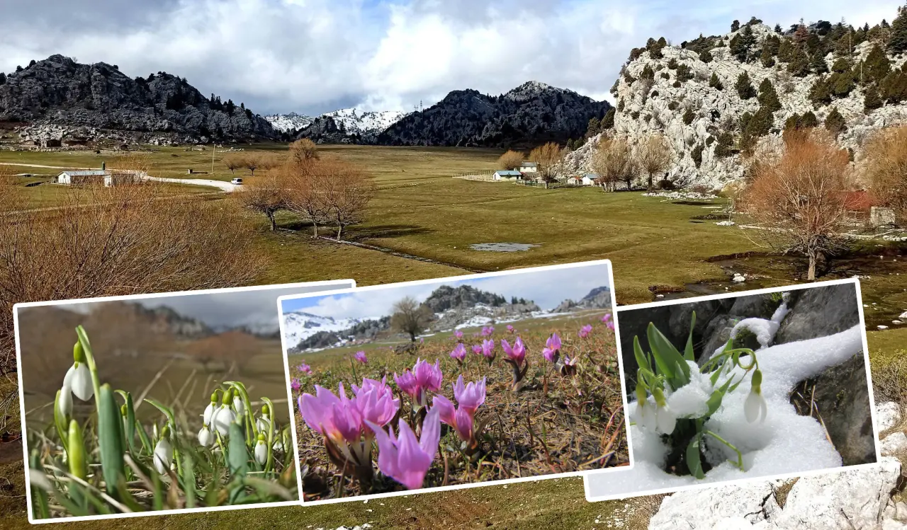 Konya'nın aşk kokan yaylası: Toroslar yeniden doğdu 1