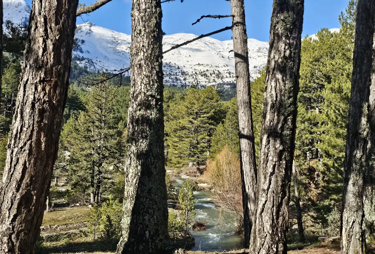 Konya'nın gizemli bölgesi: Cennet vadide sadece 600 kişi yaşıyor 2