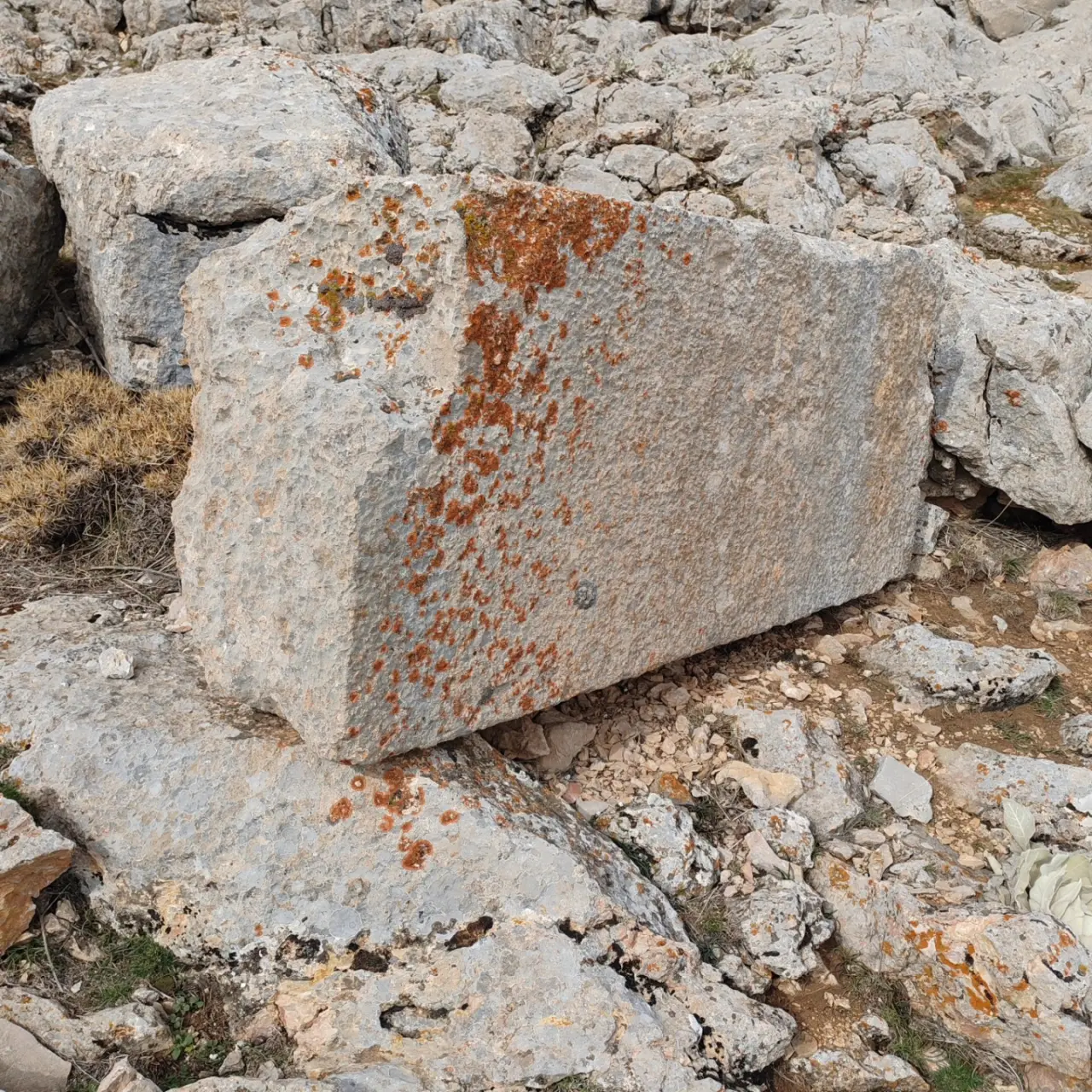 Konya'nın sırlarla dolu sarayı: Mindos Kalesi keşfedilmeyi bekliyor 5