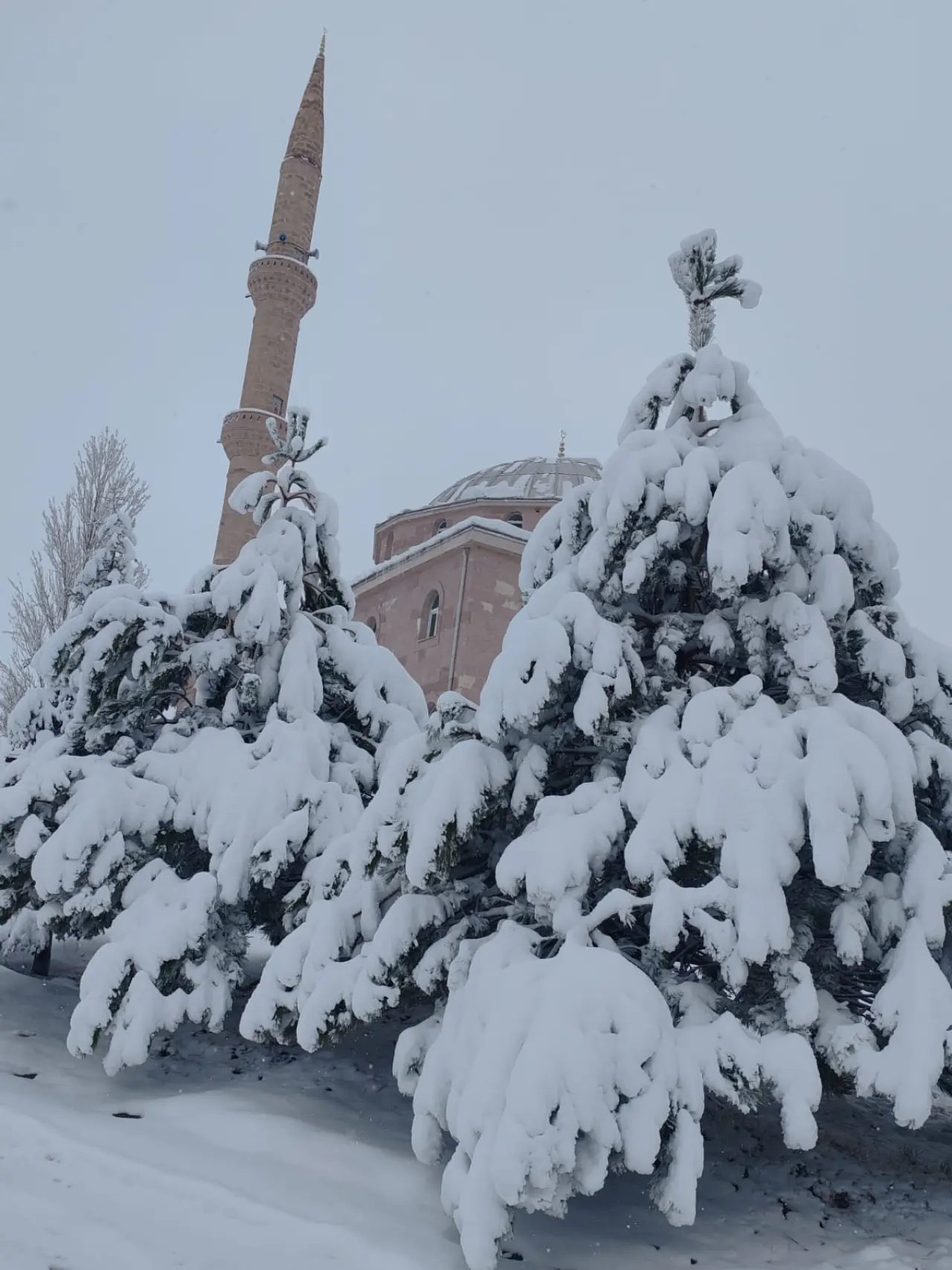 Konya'ya yağan kar yarım metreyi aştı: Sistemin yıldızı oldu 5