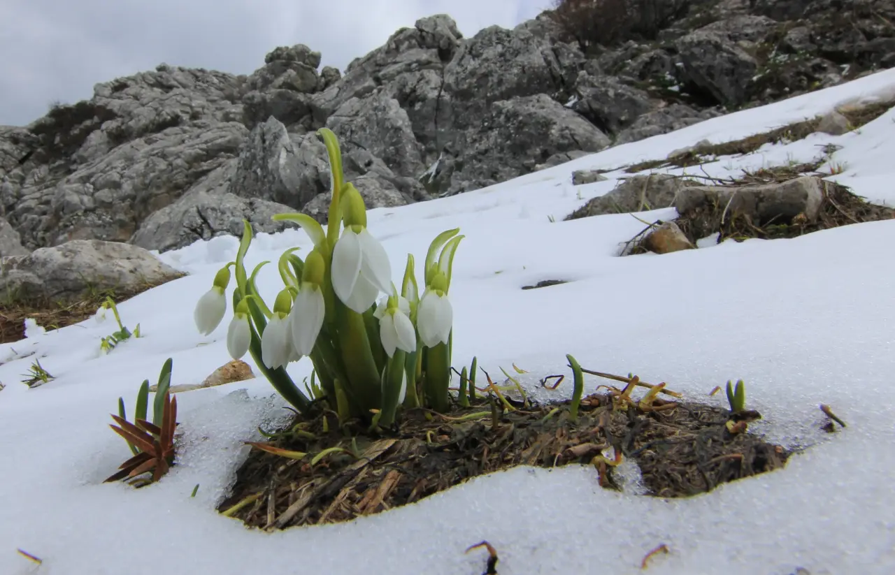 Konya'nın aşk kokan yaylası: Toroslar yeniden doğdu 16