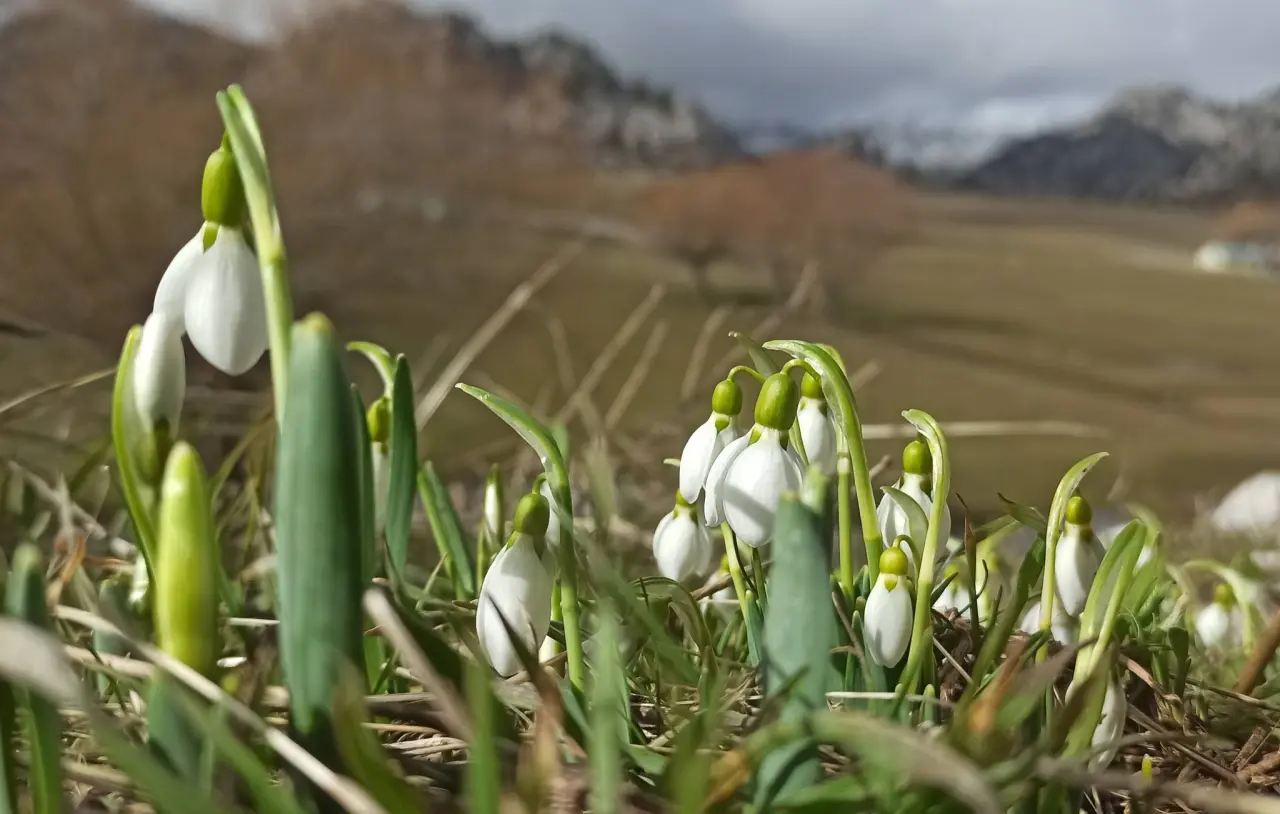 Konya'nın aşk kokan yaylası: Toroslar yeniden doğdu 8
