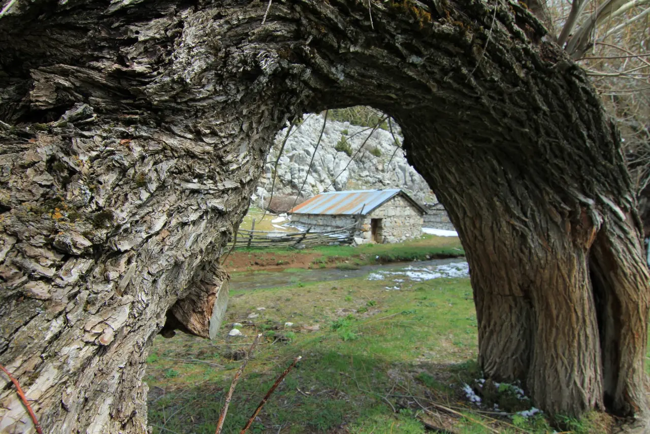 Konya'nın aşk kokan yaylası: Toroslar yeniden doğdu 9