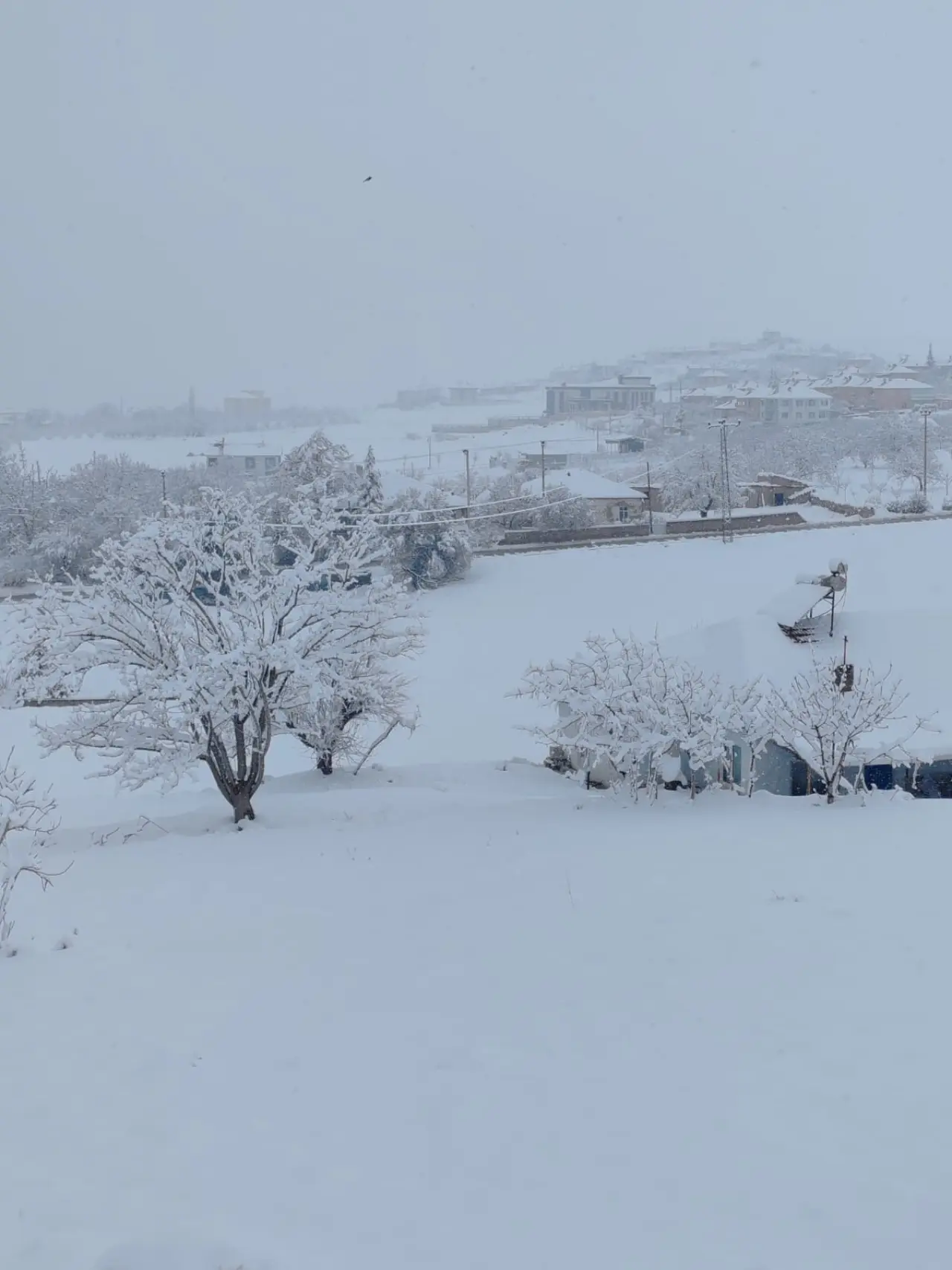 Konya'ya yağan kar yarım metreyi aştı: Sistemin yıldızı oldu 6