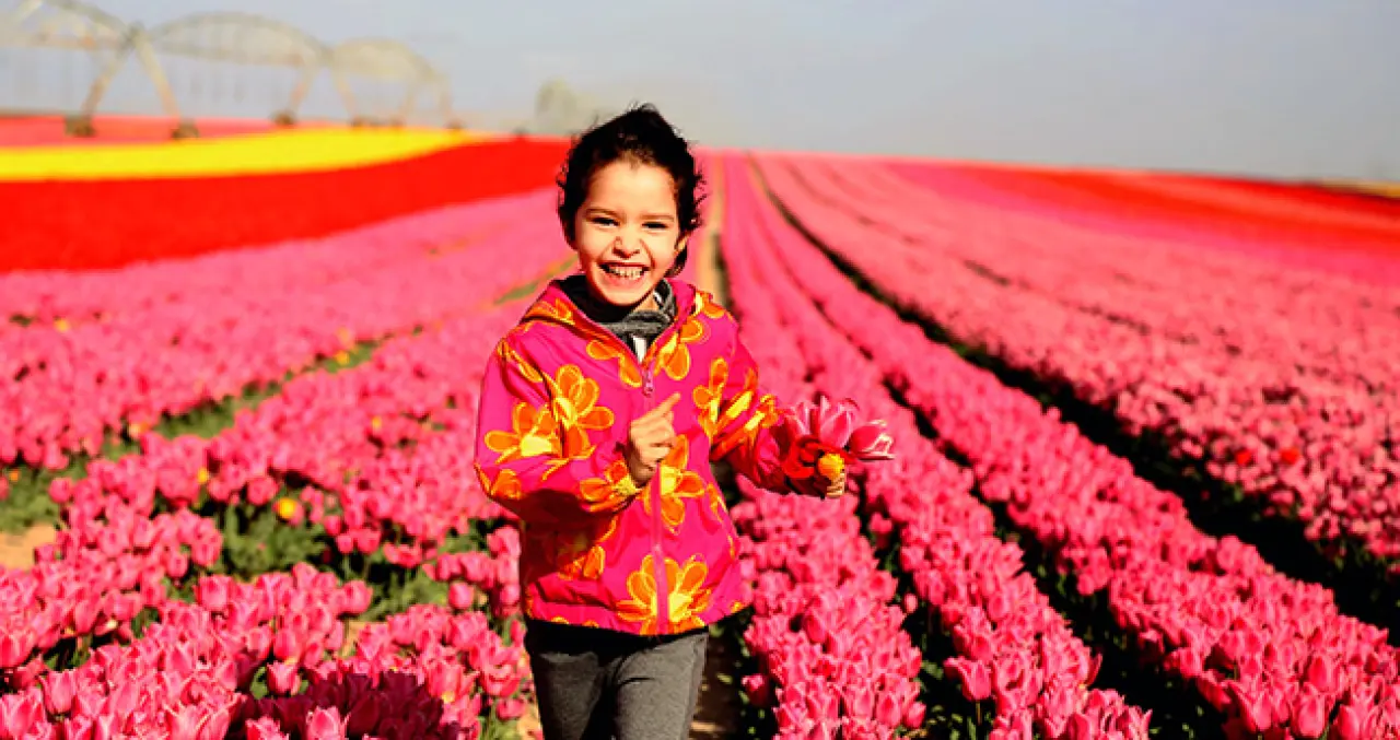 YHT turları bahçeye hazırlanıyor: Konya'ya 75 kilometre uzaklıkta 6