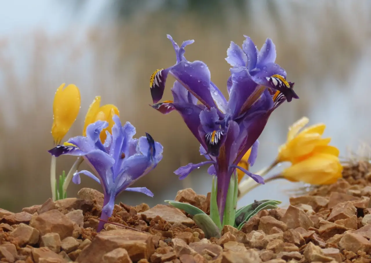 Konya’da bayram fotoğrafları renklenecek: Dipsiz Göl bekliyor 14