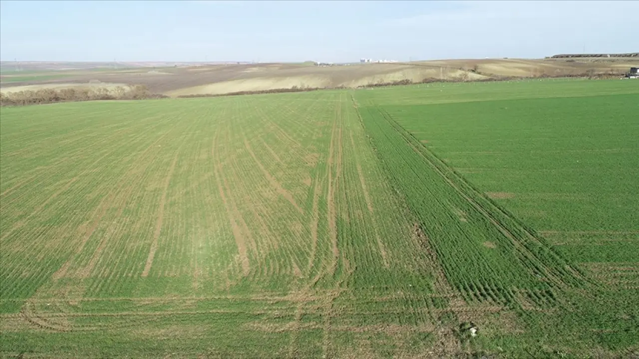 42 ilde 390 arsa satılıyor yetişen alacak 3